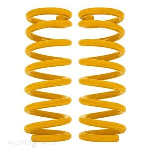 Tough Dog Coil Spring - Rear Raised - TDC1005