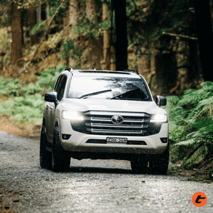 Torqit Modulemap: Remote Remap For 300 Series Landcruiser