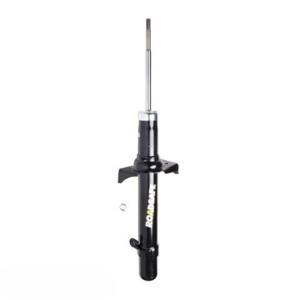 Roadsafe STR Sealed Strut RH Front 457mm - R600301