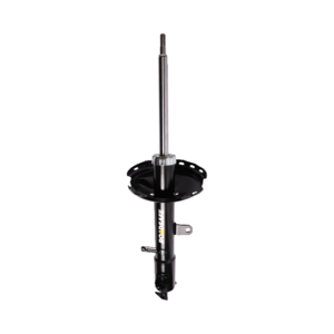 Roadsafe STR Sealed Strut - R600138