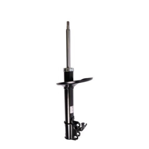 Roadsafe STR Sealed Strut - R600155
