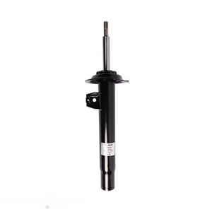 Roadsafe STR Sealed Strut - R600169