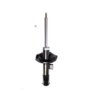 Roadsafe STR Sealed Strut - R600228