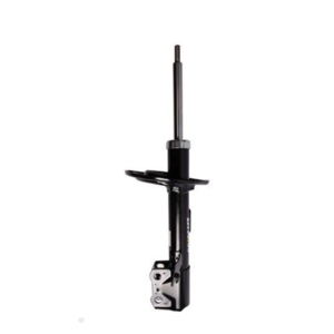 Roadsafe STR Sealed Strut - R600272