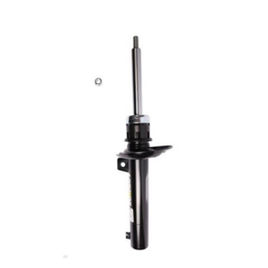 Roadsafe STR Sealed Strut - R600325