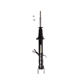 Roadsafe STR Sealed Strut - R600415