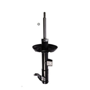 Roadsafe STR Sealed Strut - R600572