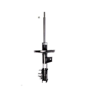 Roadsafe STR Sealed Strut - R600597