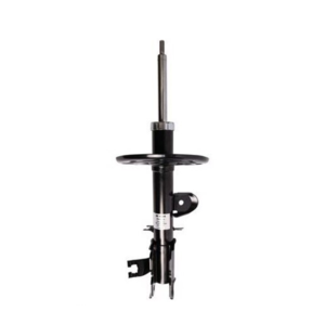 Roadsafe STR Sealed Strut - R600629