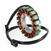 Kawasaki Ninja ZX6R ZX-6R 1998-1999 Fedex Express Generic Magneto Stator+Voltage Rectifier+Gasket