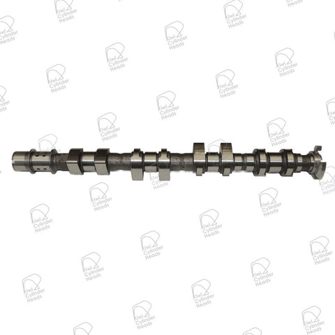 Kiwi Camshaft Exhaust 50090508