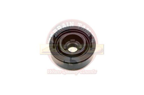 Terrain Tamer Cover Headlamp Light Golbe - Terrain Tamer 4WD Parts
