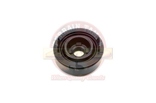 Terrain Tamer Cover Headlamp Light Golbe - Terrain Tamer 4WD Parts