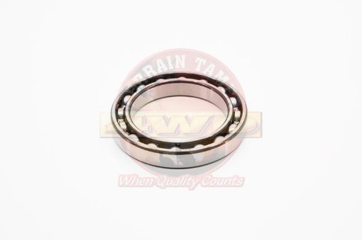 Terrain Tamer Bearing Injection Pump Drive Gear - Terrain Tamer 4WD Parts