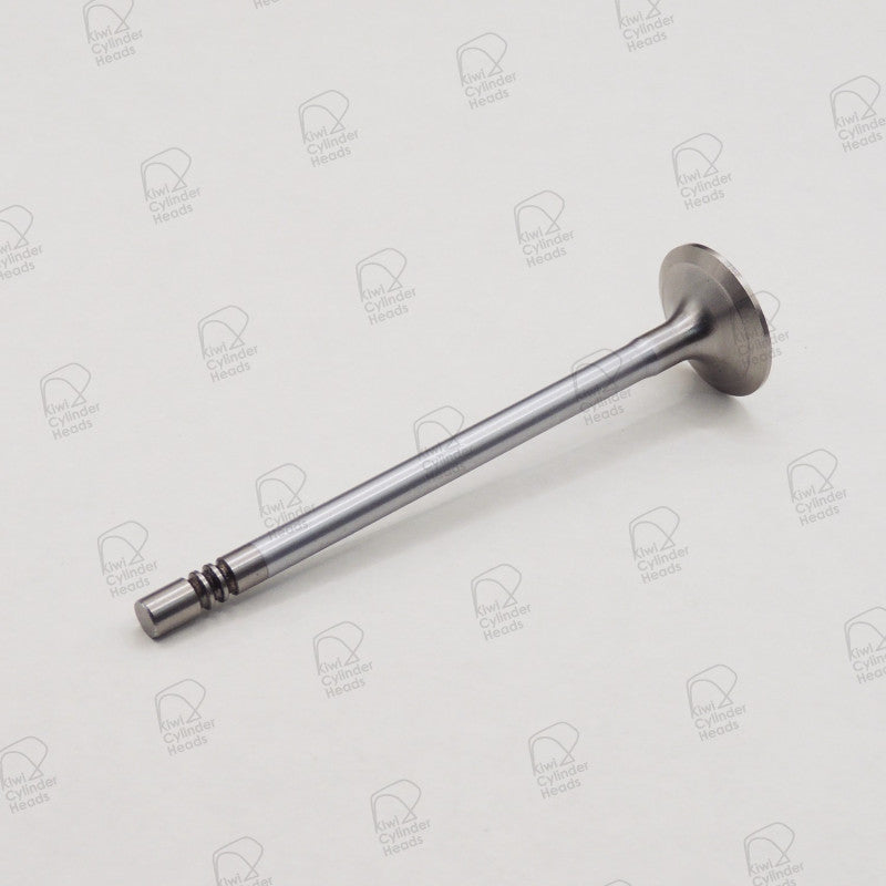 Kiwi Inlet Valve 53090512