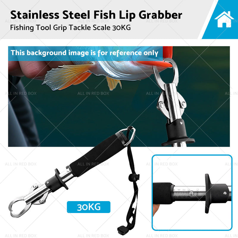 Stainless Steel Fish Lip Grabber Gripper Fishing Tool Grip Tackle Scale 30KG