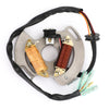 Yamaha Blaster YFS200 90-02 3JM-85560-00-00 Generic Alternator Magneto Stator Fit