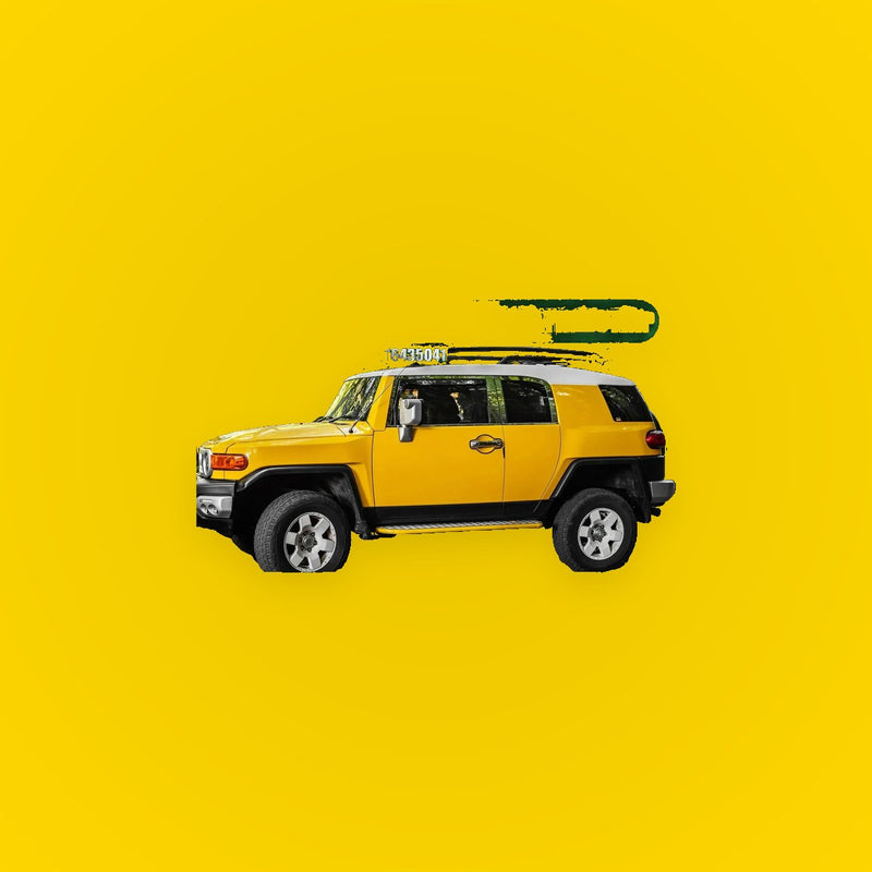 Front Left Right Door Window Belt Weatherstrip for Toyota
