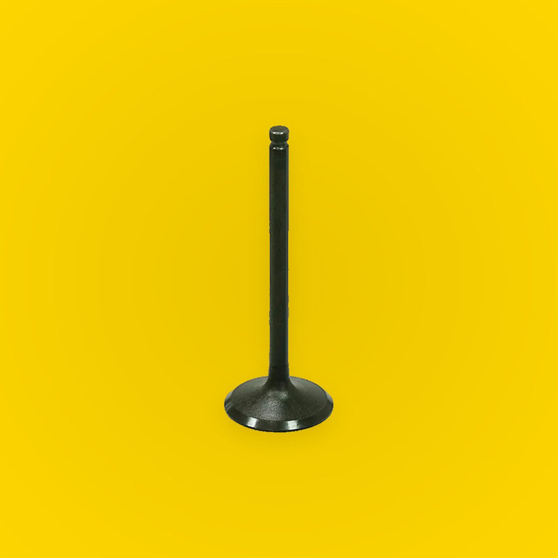 Bronco Engine Intake Valve for Suzuki QuadSport 230 LT230S
