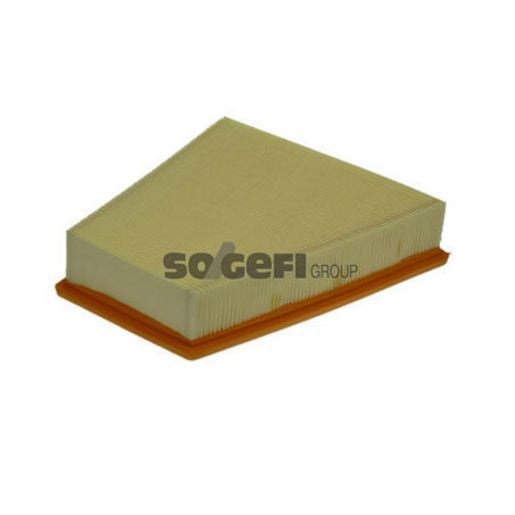 Purflux Air Filter A1113