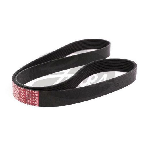 Gates Micro-V Belt 8PK1440