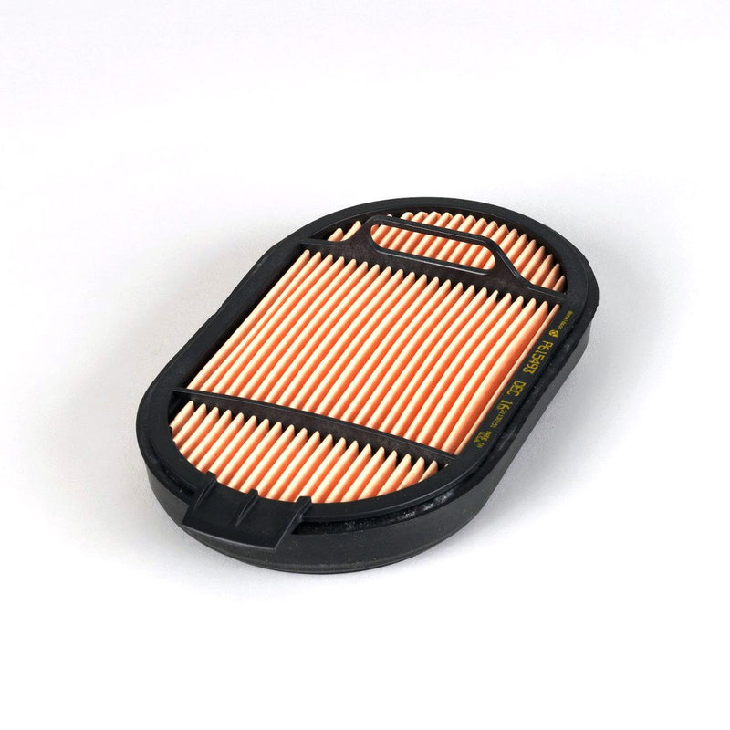 Donaldson Air Filter P615493