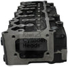 Kiwi Cylinder Head - Isuzu C240 10031137