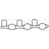 Elring Intake/Exhaust Gaskets 574.12