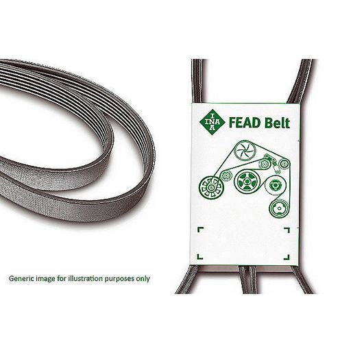 INA Ribbed Drive Belt FB6PK1973