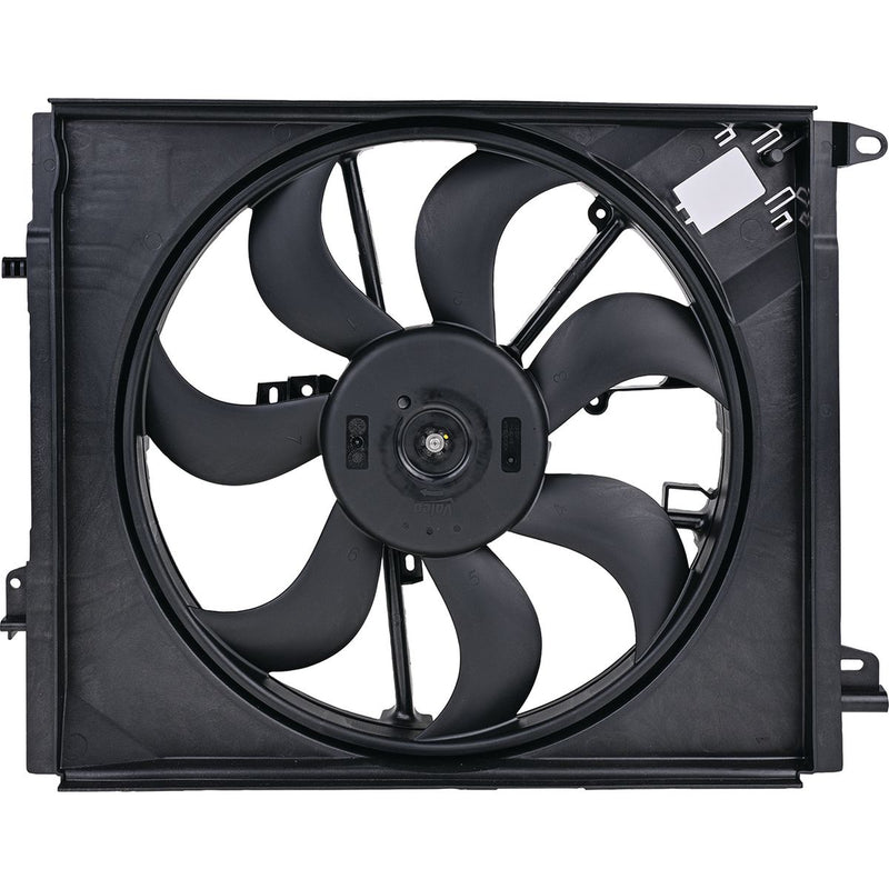 Valeo Electric Fan Assembly 696881
