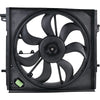 Valeo Electric Fan Assembly 698582