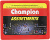Champion Flat Steel Washer Assortment Pack
