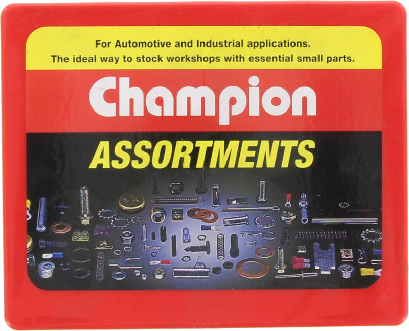 Champion Flat Steel Washer Assortment Pack