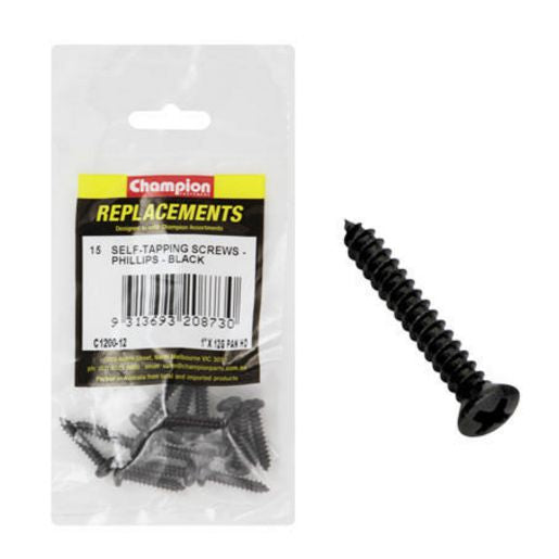 Champion Black Screw Self Tapp Panhead Phillips 5.5 x