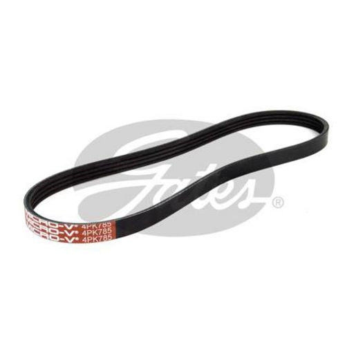 Gates Ribbed Belt 4PK785