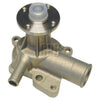 Tru-Flow Water Pump (Saleri Italy) TF4498