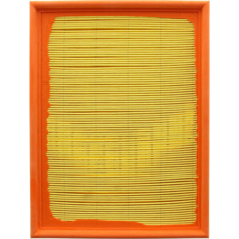 Ryco Air Filter A1556