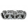 Kiwi Bare Cylinder Head 10061063