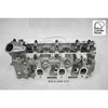 Kiwi Bare Cylinder Head 10081071