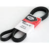 Gates Ribbed Belt 6PK2095