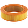 Ryco Air Filter A1669