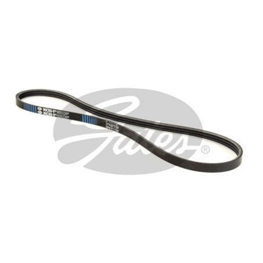 Gates Ribbed Belt 3PK977SF