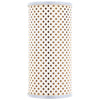 Silverline Oil Filter Cartridge OF176CSL