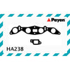 Payen Manifold Gasket HA238
