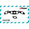 Payen Manifold Gasket HA238