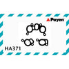 Payen Manifold Gasket HA371