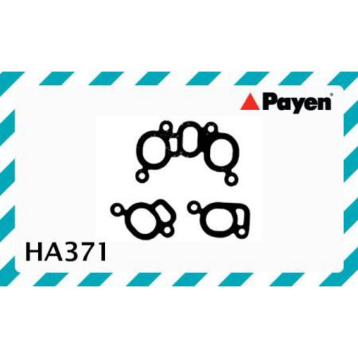 Payen Manifold Gasket HA371