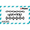 Payen Manifold Gasket HA393