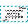 Payen Manifold Gasket HA393