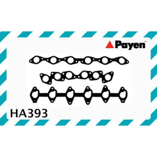 Payen Manifold Gasket HA393